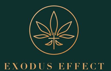 Exodus Effect PDF Book