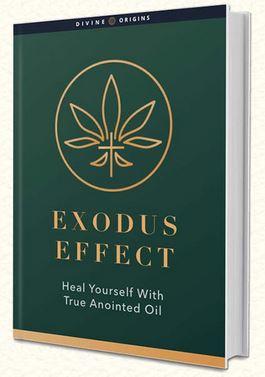 Exodus Effect Reviews